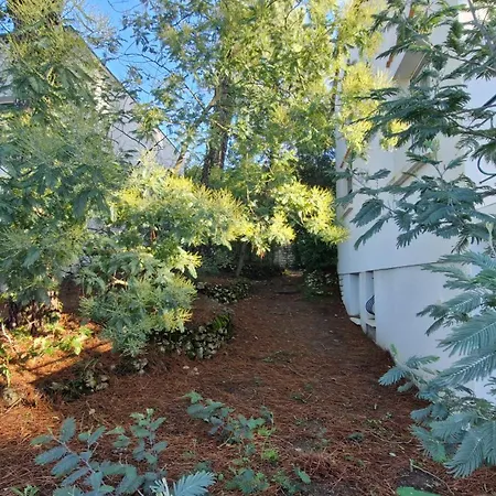 Georges De Didonne - Confort Familial Et 2 Espaces Independants Pour Profiter Ensemble *