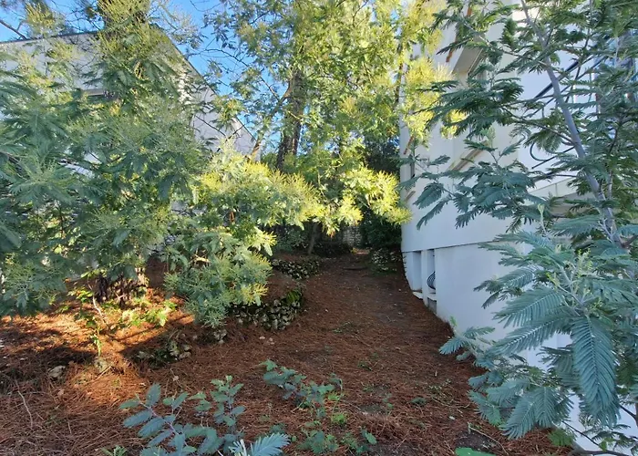 Georges De Didonne - Confort Familial Et 2 Espaces Independants Pour Profiter Ensemble *